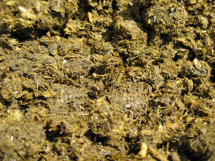 Gärreste trocknen mit Bandtrockner von Wenner Systemtechnik