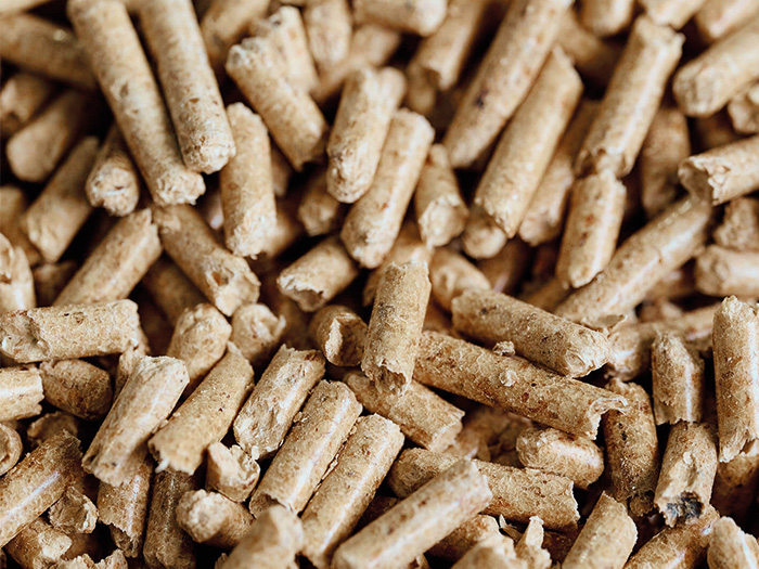 Pellets produzueren mit Bandtrockner von Wenner Systemtechnik