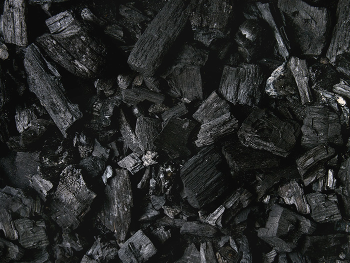 Charcoal production and wood gasification with a belt dryer from Wenner Systemtechnik