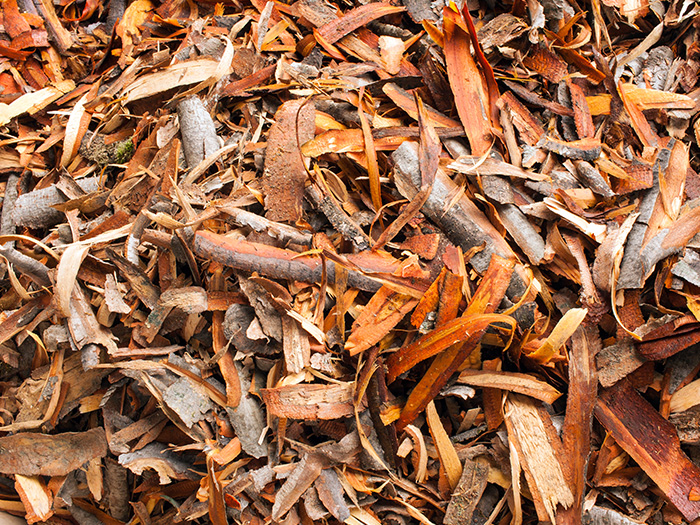 Drying tree bark with a belt dryer from Wenner Systemtechnik
